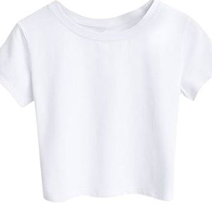 Aritzia White Tshirt by Tna